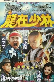 电影功夫小龙在线观看,热血青春,武术传奇 第2张 电影功夫小龙在线观看,热血青春,武术传奇 第2张